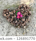 Heart made of pine cones and flowers 126891770