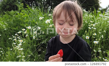 Cute boy eats juicy strawberries. Young Toddler Country Life. Summer Children's Lifestyle. In the chamomile meadow in the park, a happy child eats juicy strawberries Cute boy eats juicy strawberries. Young Toddler Country Life. Summer Children's Lifestyle. In the chamomile meadow in the park, a happy child eats juicy strawberries 126891792