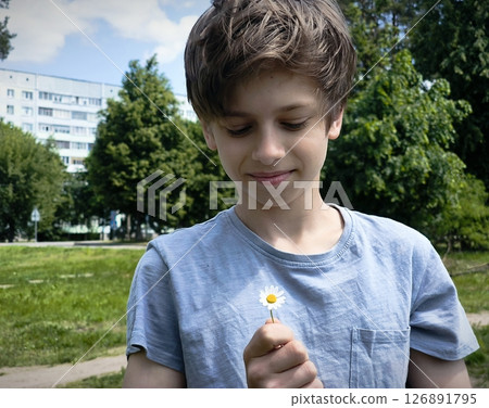 boy holding one chamomile. happy teen with a daisy in his hands. Summer outdoors time. boy holding one chamomile. happy teen with a daisy in his hands. Summer outdoors time. 126891795