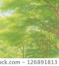 綠色森林的寧靜景觀 126891813