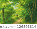 陽光照耀的林間小路 126891814
