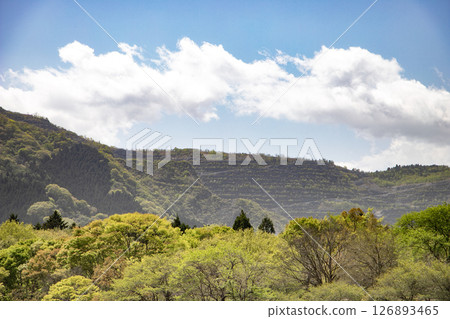 武甲山山脊（埼玉縣秩父市） 126893465