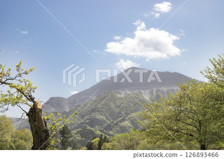 漂浮在藍天上的武甲山（埼玉縣秩父市） 126893466