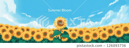 sunflower sunflower 126893736