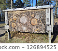 Wooden insect hotel providing natural habitat in forest setting 126894525