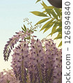Wisteria trellis 126894840