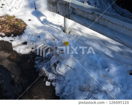 長野縣飯田市上方町雪景 126895120