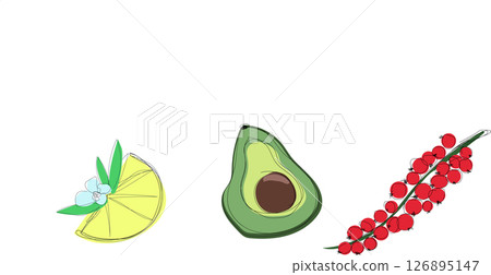 Minimal vector layout showing three fruits avocado, citrus wedge, and a sprig of red berries on a white background. 126895147