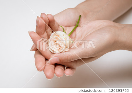 Two female hands are neatly arranged on a white background, surrounded by rose petals and green leaves, creating an atmosphere of tranquility and skin care Two female hands are neatly arranged on a white background, surrounded by rose petals and green leaves, creating an atmosphere of tranquility and skin care 126895763