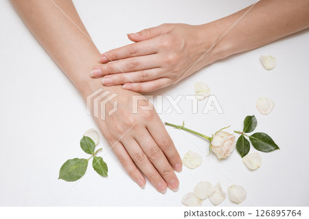 Two female hands are neatly arranged on a white background, surrounded by rose petals and green leaves, creating an atmosphere of tranquility and skin care Two female hands are neatly arranged on a white background, surrounded by rose petals and green leaves, creating an atmosphere of tranquility and skin care 126895764