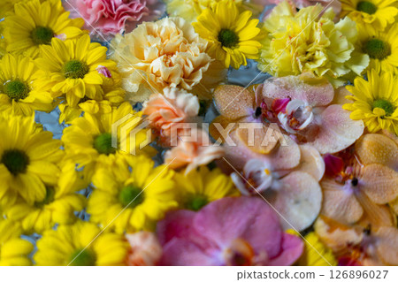 Flowers floating on water 126896027