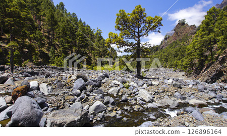 Taburiente River, Caldera de Taburiente National Park, Spain Taburiente River, Caldera de Taburiente National Park, Spain 126896164