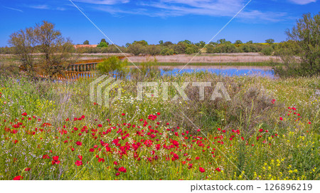 Tablas de Daimiel National Park, Spain Tablas de Daimiel National Park, Spain 126896219