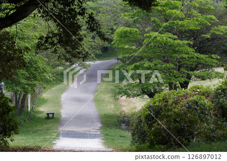 愛知縣立森林公園散步道 126897012