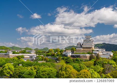 《兵庫縣》姬路城：初夏的綠色季節 126897069