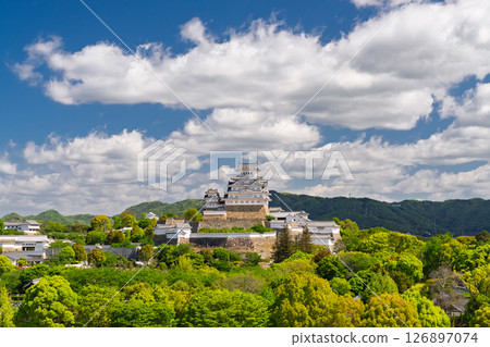 《兵庫縣》姬路城：初夏的綠色季節 126897074