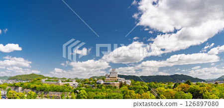 《Hyogo Prefecture》Himeji Castle: Early Summer Green Season 126897080