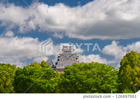 《兵庫縣》姬路城：初夏的綠色季節 126897081