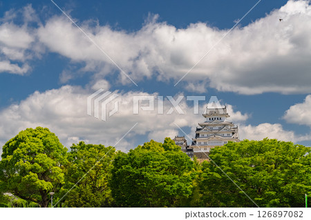 《兵庫縣》姬路城：初夏的綠色季節 126897082