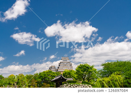 《兵庫縣》姬路城：初夏的綠色季節 126897084