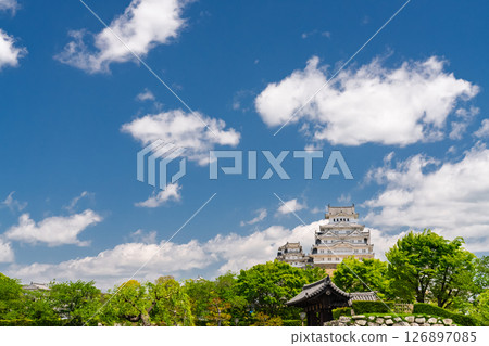 《兵庫縣》姬路城：初夏的綠色季節 126897085
