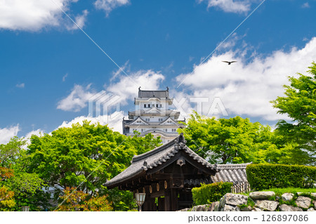 《Hyogo Prefecture》Himeji Castle: Early Summer Green Season 126897086