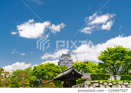 《兵庫縣》姬路城:初夏的綠色季節 《兵庫縣》姬路城:初夏的綠色季節 126897087