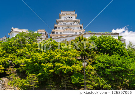 《兵庫縣》姬路城：初夏的綠色季節 126897096