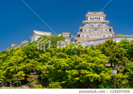 《兵庫縣》姬路城：初夏的綠色季節 126897098