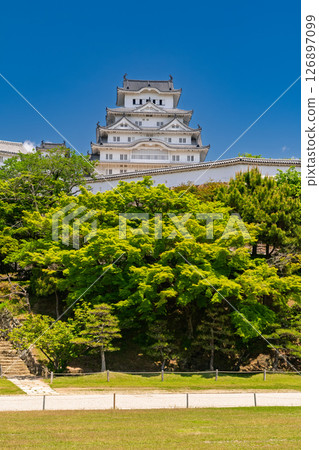 《兵庫縣》姬路城:初夏的綠色季節 《兵庫縣》姬路城:初夏的綠色季節 126897099
