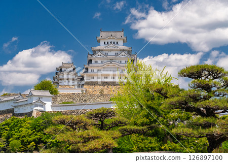 《兵庫縣》姬路城：初夏的綠色季節 126897100