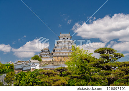 《兵庫縣》姬路城：初夏的綠色季節 126897101