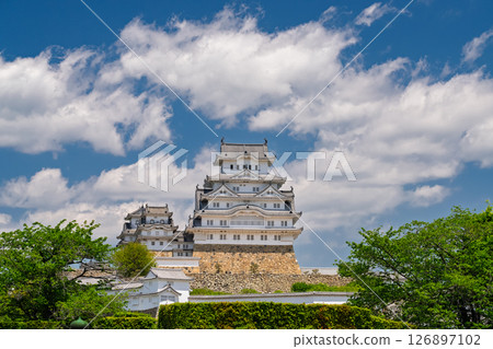 《Hyogo Prefecture》Himeji Castle: Early Summer Green Season 126897102