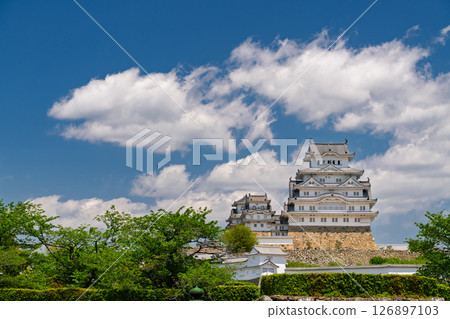 《兵庫縣》姬路城：初夏的綠色季節 126897103