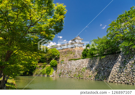 《兵庫縣》姬路城：初夏的綠色季節 126897107