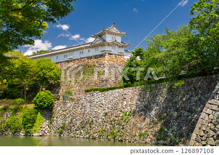 《Hyogo Prefecture》Himeji Castle: Early Summer Green Season 126897108
