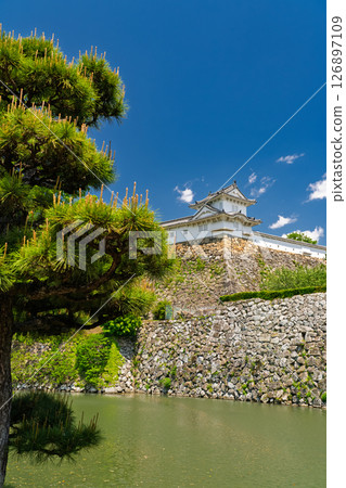 《Hyogo Prefecture》Himeji Castle: Early Summer Green Season 126897109