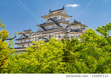 《兵庫縣》姬路城:初夏的綠色季節 《兵庫縣》姬路城:初夏的綠色季節 126897112