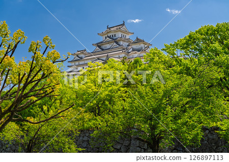 《Hyogo Prefecture》Himeji Castle: Early Summer Green Season 126897113