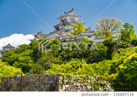 《兵庫縣》姬路城：初夏的綠色季節 126897116