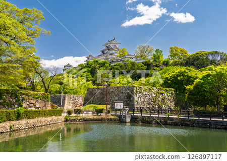 《Hyogo Prefecture》Himeji Castle: Early Summer Green Season 126897117
