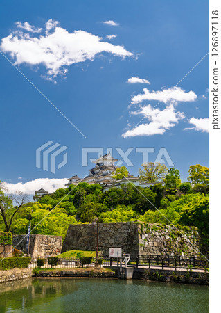 《Hyogo Prefecture》Himeji Castle: Early Summer Green Season 126897118