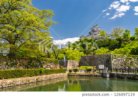 《Hyogo Prefecture》Himeji Castle: Early Summer Green Season 126897119