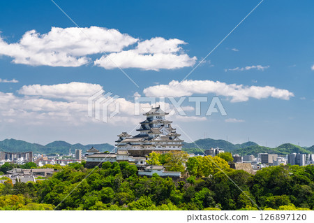 《兵庫縣》姬路城：初夏的綠色季節 126897120