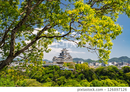 《兵庫縣》姬路城：初夏的綠色季節 126897126