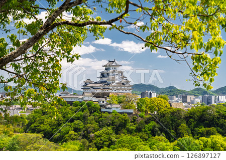 《Hyogo Prefecture》Himeji Castle: Early Summer Green Season 126897127