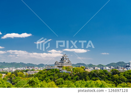 《Hyogo Prefecture》Himeji Castle: Early Summer Green Season 126897128