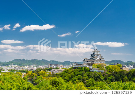 《兵庫縣》姬路城:初夏的綠色季節 《兵庫縣》姬路城:初夏的綠色季節 126897129