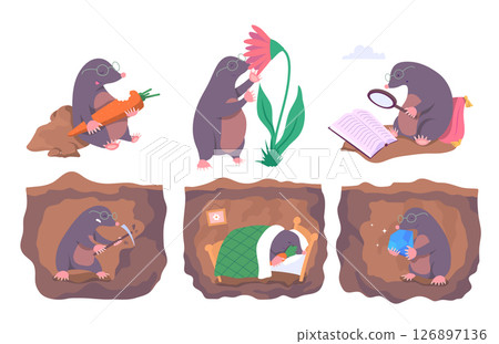 Cartoon Color Mole Animal Different Many Poses Set Concept Flat Design Style Moles Reading Book and Working. Vector illustration 126897136