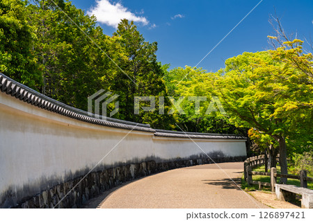 《Hyogo Prefecture》Himeji Castle: Early Summer Green Season 126897421